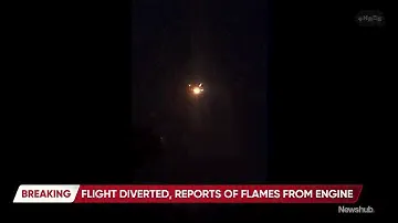 Plane diverted to Invercargill from Queenstown, flames seen shooting from engine | Newshub
